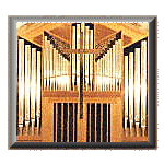 Redman Tracker Organ